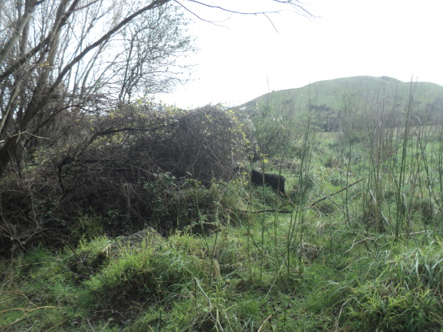 Name:  picture 01 5702.jpg
Views: 311
Size:  163.2 KB
