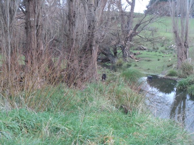 Name:  picture 01 5742.jpg
Views: 239
Size:  164.3 KB