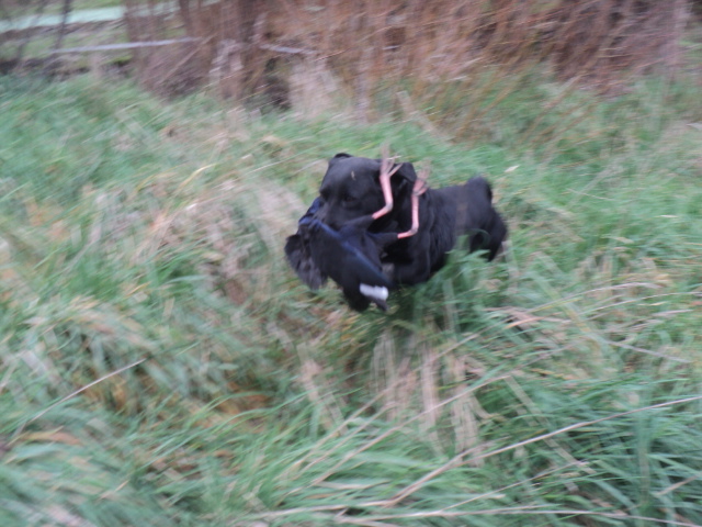 Name:  picture 01 5743.jpg
Views: 237
Size:  164.2 KB