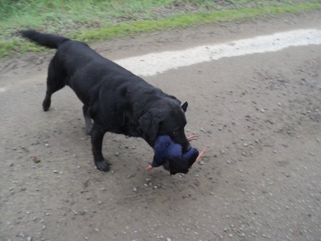 Name:  picture 01 5744.jpg
Views: 231
Size:  165.2 KB