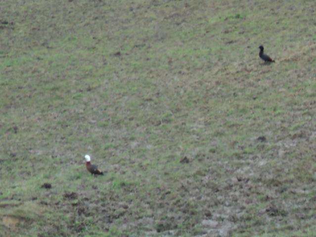 Name:  Picture 048.jpg
Views: 501
Size:  38.3 KB