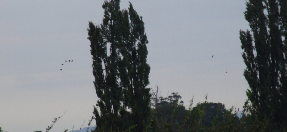 Name:  2.jpg
Views: 253
Size:  139.7 KB