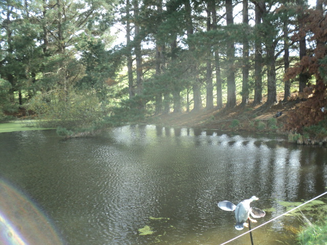 Name:  DSC06518.JPG
Views: 209
Size:  162.1 KB