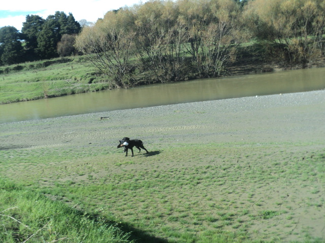 Name:  DSC06546.JPG
Views: 237
Size:  163.3 KB