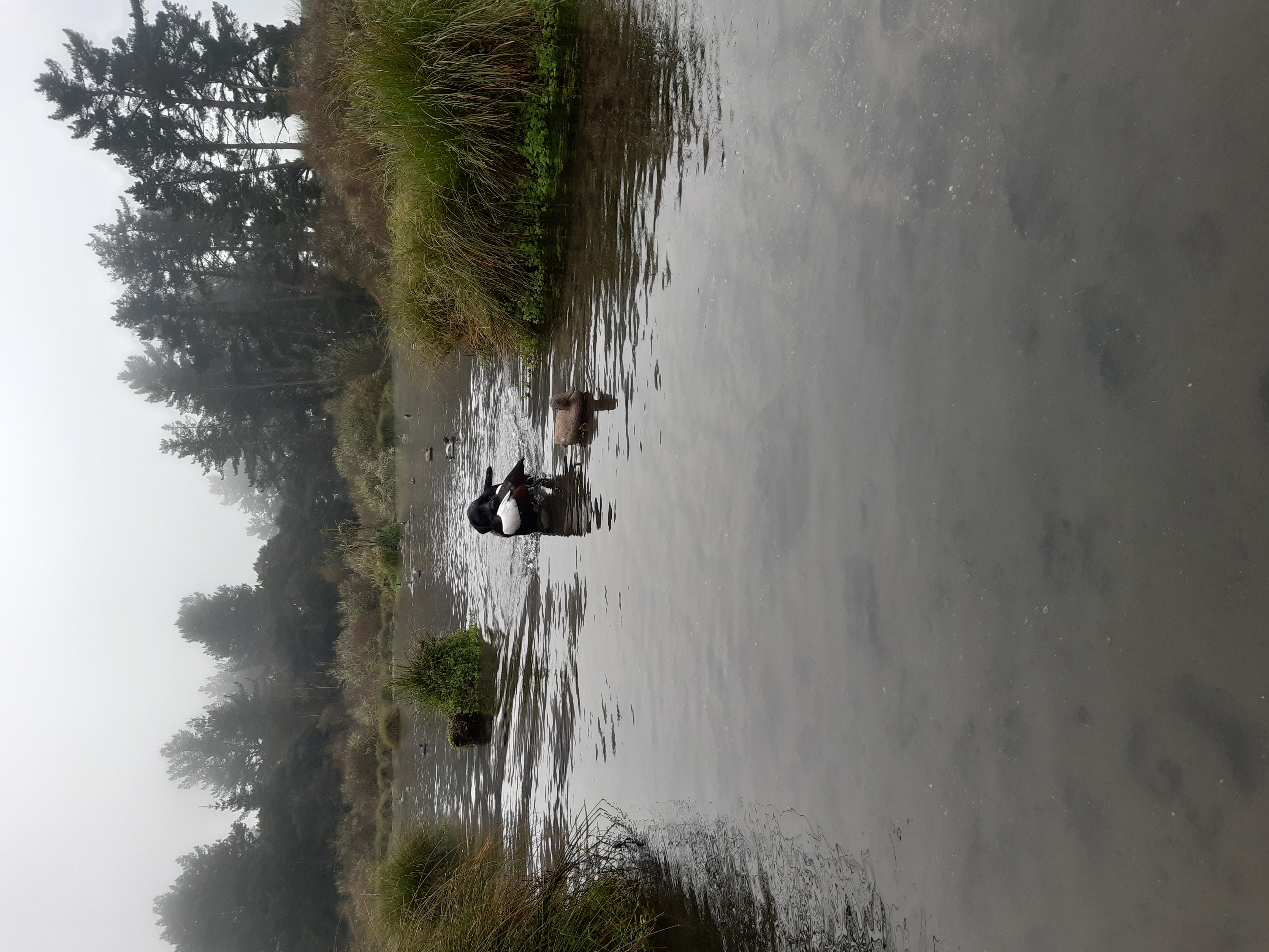 Name:  20230527_100206.jpg
Views: 427
Size:  3.85 MB