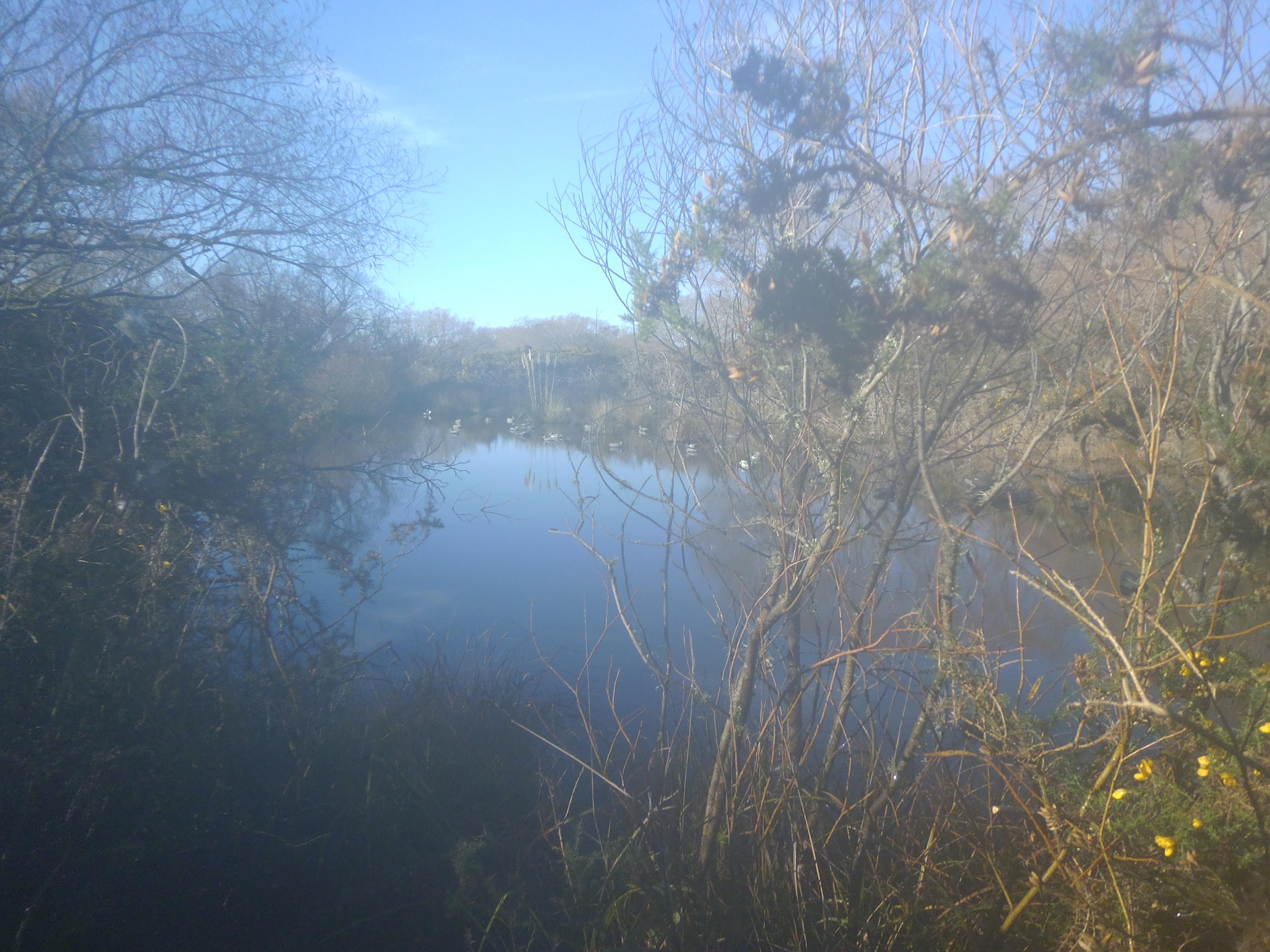 Name:  waitaki duck shooting 2013 (2).jpg
Views: 903
Size:  1.01 MB