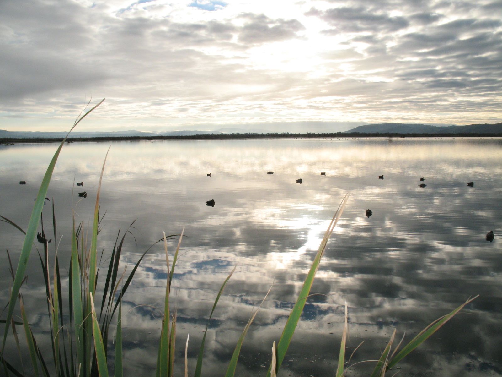 Name:  opening weekend lake waihola 2012 (2).JPG
Views: 245
Size:  472.5 KB