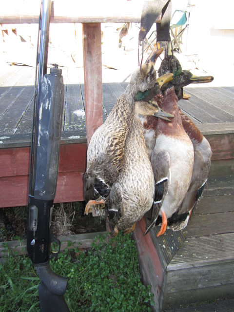 Name:  IMG_0071.jpg
Views: 232
Size:  120.6 KB