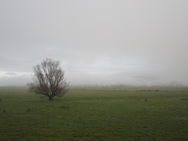 Name:  IanBeatonfarmWaipori14July20121-1.jpg
Views: 235
Size:  46.8 KB