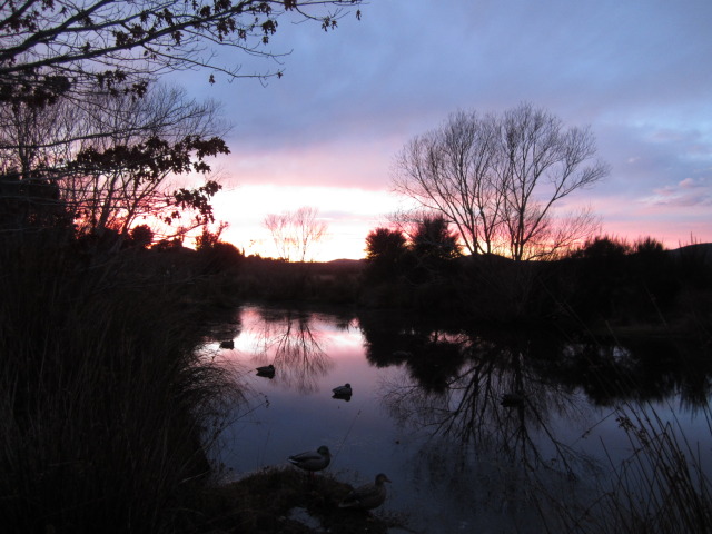 Name:  steveWHITEponds1-1.jpg
Views: 259
Size:  97.0 KB