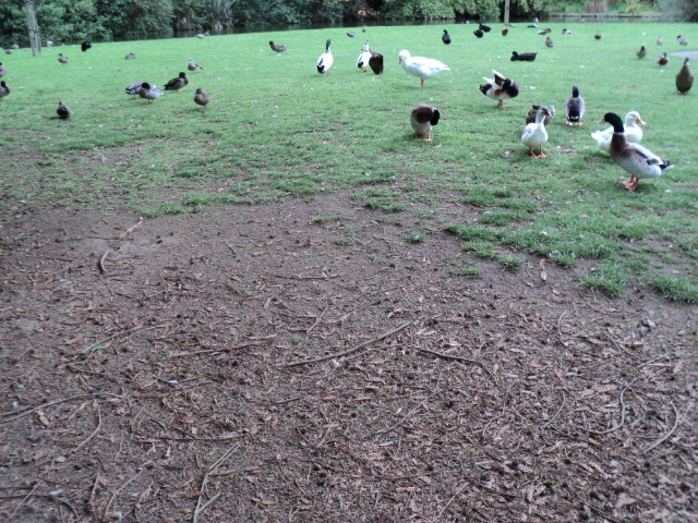 Name:  picture 3592.jpg
Views: 388
Size:  163.7 KB