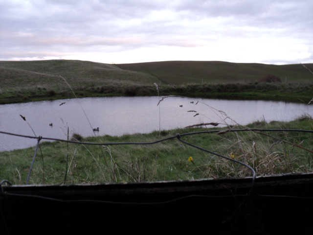 Name:  picture 3597.jpg
Views: 348
Size:  157.8 KB