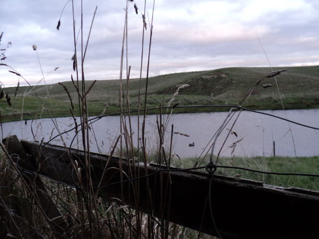 Name:  picture 3598.jpg
Views: 358
Size:  162.6 KB
