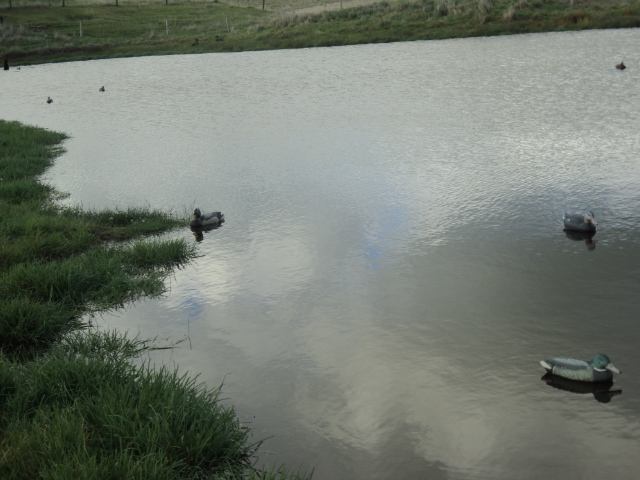 Name:  picture 3608.jpg
Views: 385
Size:  165.1 KB