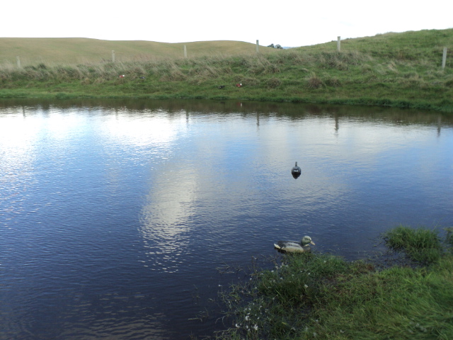 Name:  picture 3609.jpg
Views: 307
Size:  164.1 KB