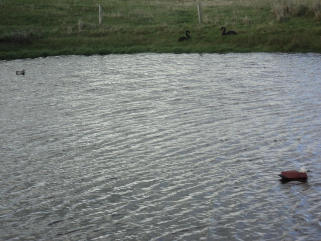 Name:  picture 3610.jpg
Views: 308
Size:  164.3 KB