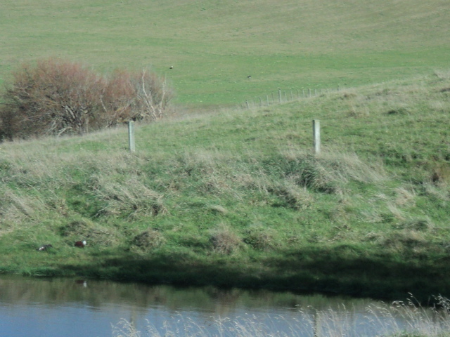 Name:  picture 3613.jpg
Views: 337
Size:  164.4 KB