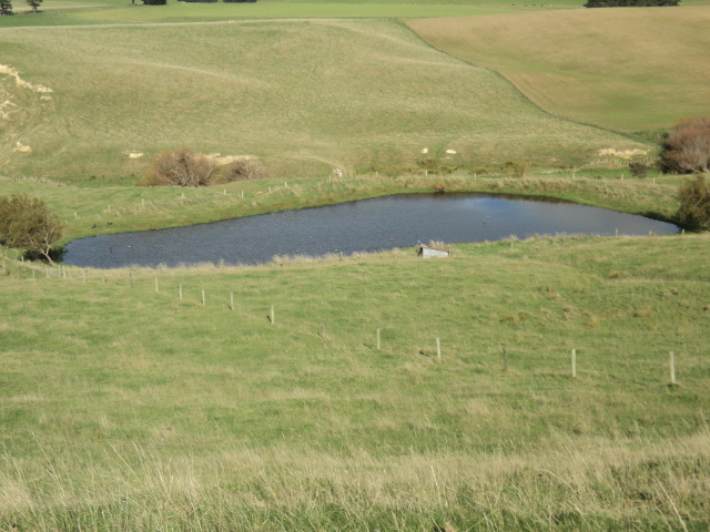 Name:  picture 3614.jpg
Views: 279
Size:  164.5 KB
