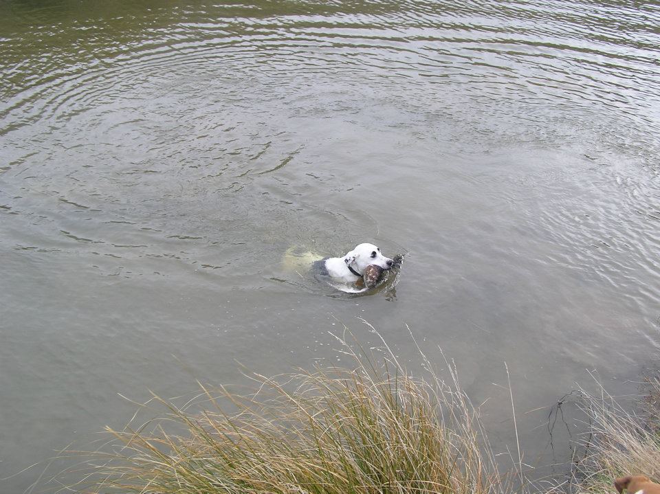 Name:  483288_3585051593620_863995175_n.jpg
Views: 214
Size:  133.5 KB