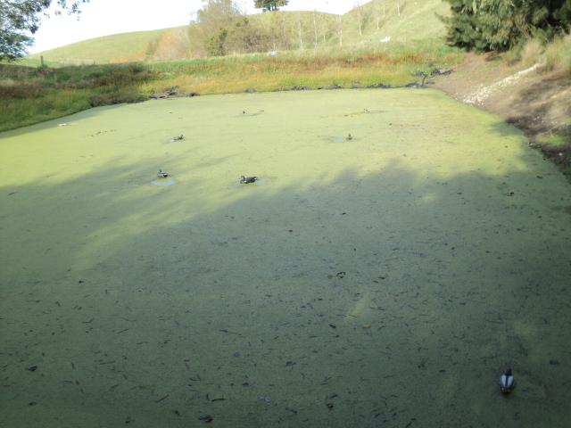 Name:  picture 3619.jpg
Views: 694
Size:  163.0 KB