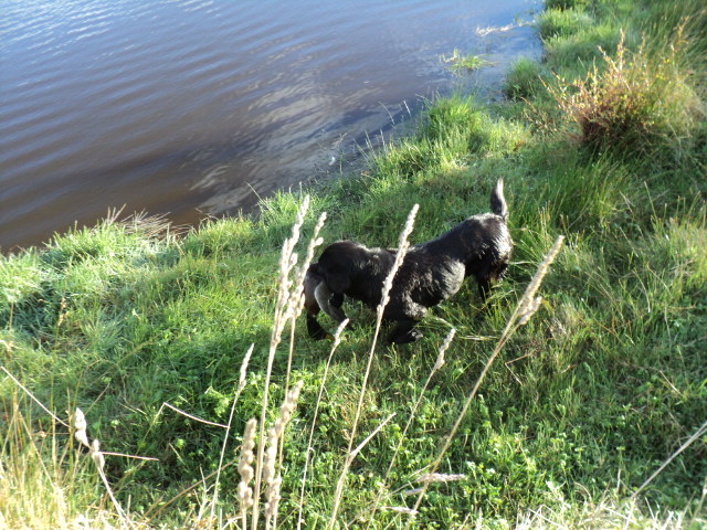 Name:  picture 3635.jpg
Views: 279
Size:  164.8 KB