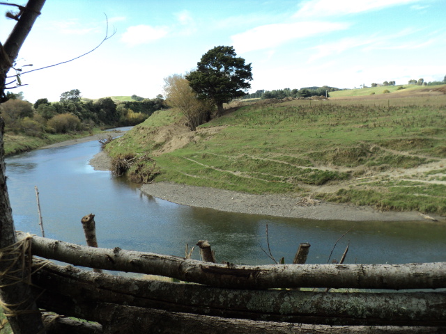 Name:  picture 3644.jpg
Views: 243
Size:  165.1 KB