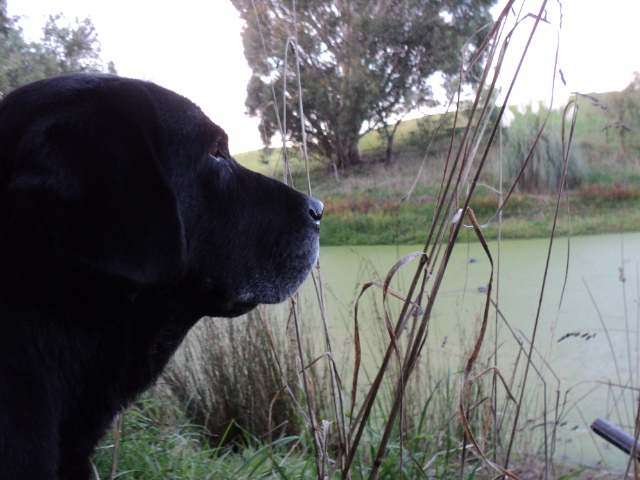 Name:  picture 3667.jpg
Views: 292
Size:  164.9 KB
