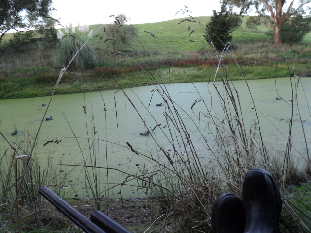 Name:  picture 3668.jpg
Views: 277
Size:  164.3 KB