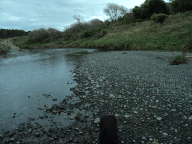 Name:  picture 3673.jpg
Views: 348
Size:  165.1 KB