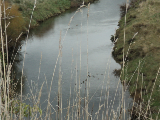 Name:  picture 3694.jpg
Views: 226
Size:  163.7 KB