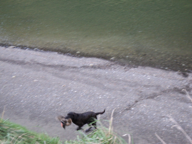 Name:  picture 3696.jpg
Views: 227
Size:  161.5 KB