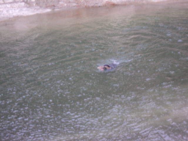 Name:  picture 3695.jpg
Views: 288
Size:  163.0 KB