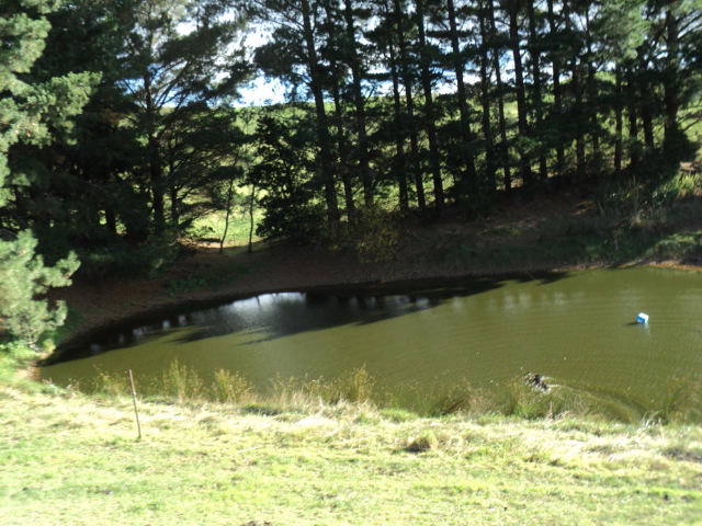 Name:  picture 3699.jpg
Views: 316
Size:  165.1 KB