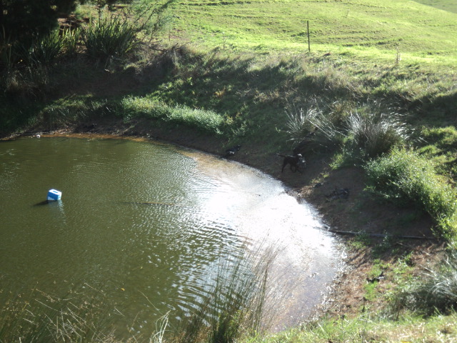 Name:  picture 3701.jpg
Views: 308
Size:  163.5 KB