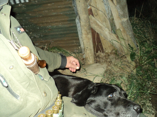 Name:  picture 3737.jpg
Views: 294
Size:  162.5 KB