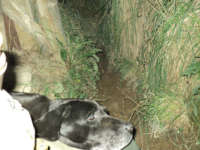 Name:  picture 3736.jpg
Views: 269
Size:  163.0 KB