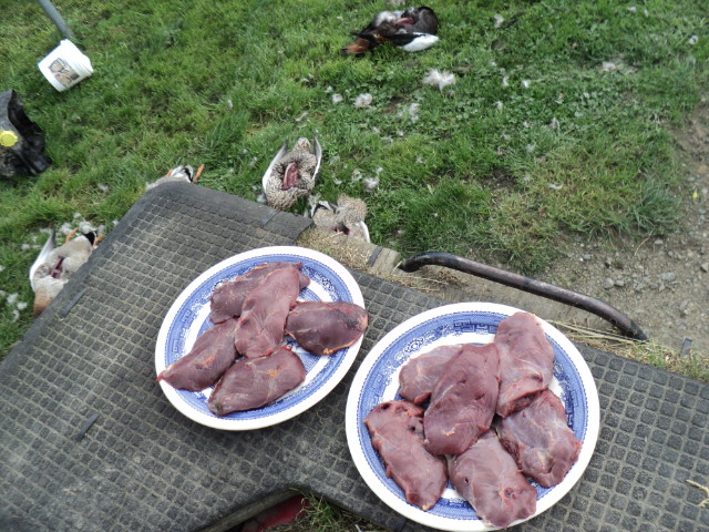 Name:  picture 3705.jpg
Views: 341
Size:  164.0 KB