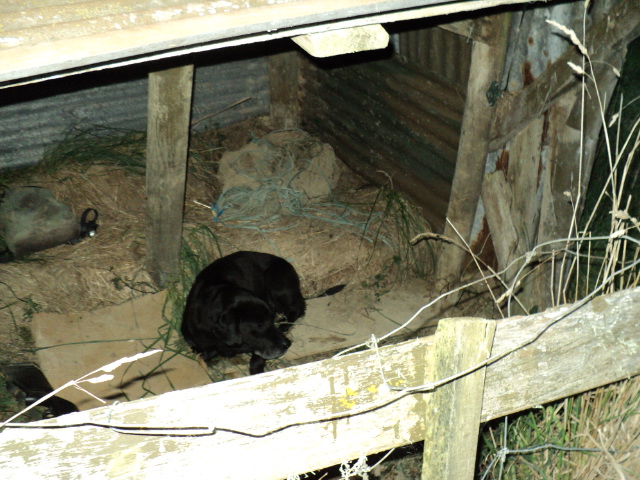 Name:  picture 3745.jpg
Views: 302
Size:  164.8 KB