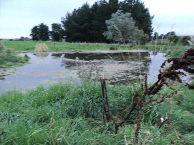 Name:  picture 3752.jpg
Views: 247
Size:  164.9 KB