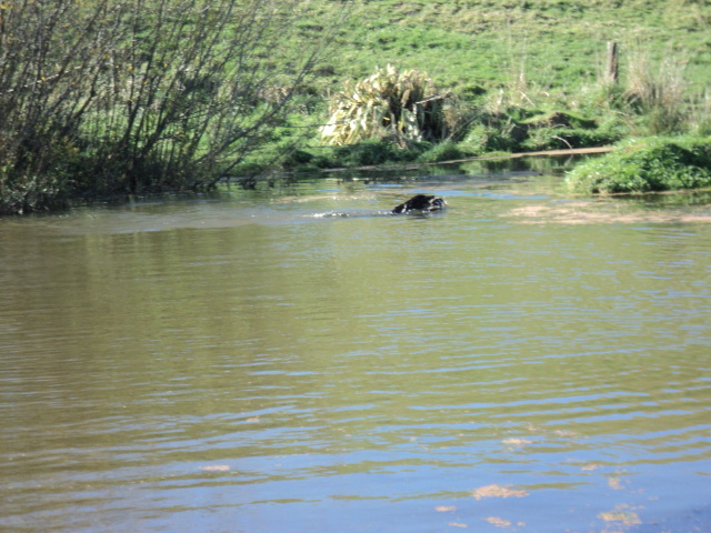 Name:  picture 3762.jpg
Views: 272
Size:  165.1 KB