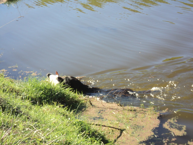 Name:  picture 3772.jpg
Views: 302
Size:  162.9 KB