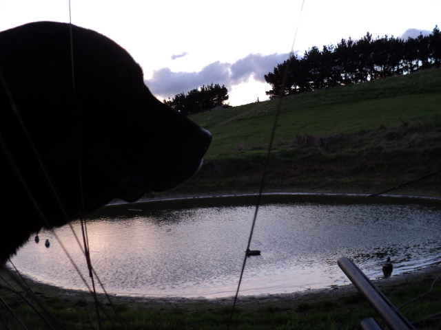 Name:  picture 3777.jpg
Views: 342
Size:  164.8 KB