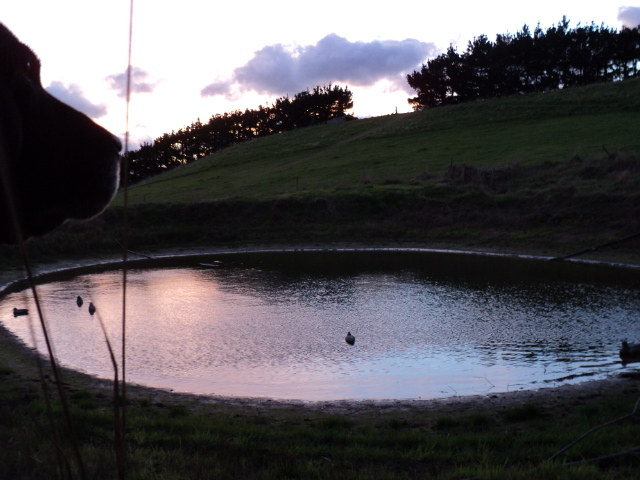 Name:  picture 3779.jpg
Views: 360
Size:  164.6 KB