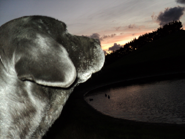 Name:  picture 3781.jpg
Views: 330
Size:  164.7 KB