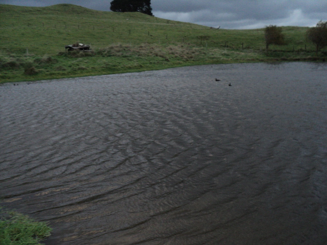 Name:  picture 3800.jpg
Views: 229
Size:  162.9 KB