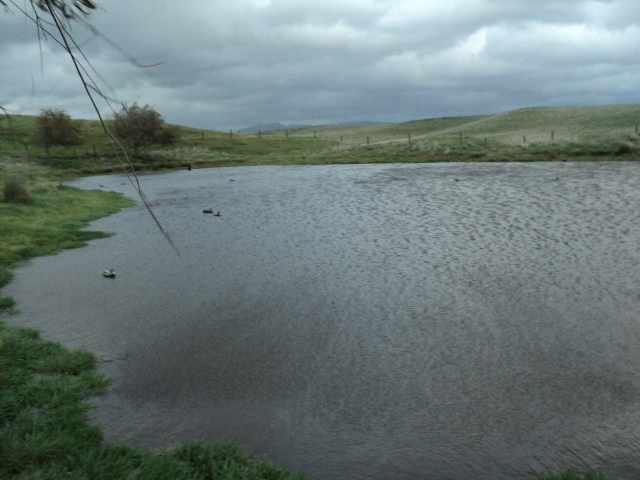 Name:  picture 3802.jpg
Views: 230
Size:  164.7 KB