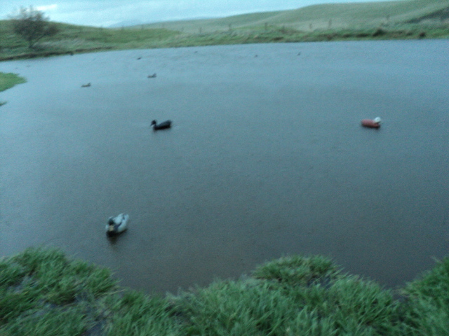 Name:  picture 3818.jpg
Views: 288
Size:  162.5 KB