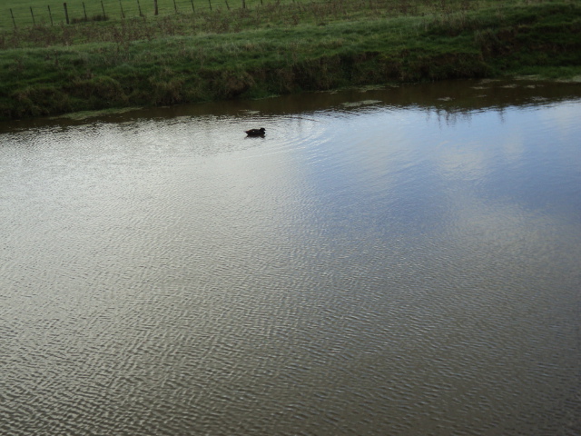 Name:  picture 3823.jpg
Views: 270
Size:  165.1 KB