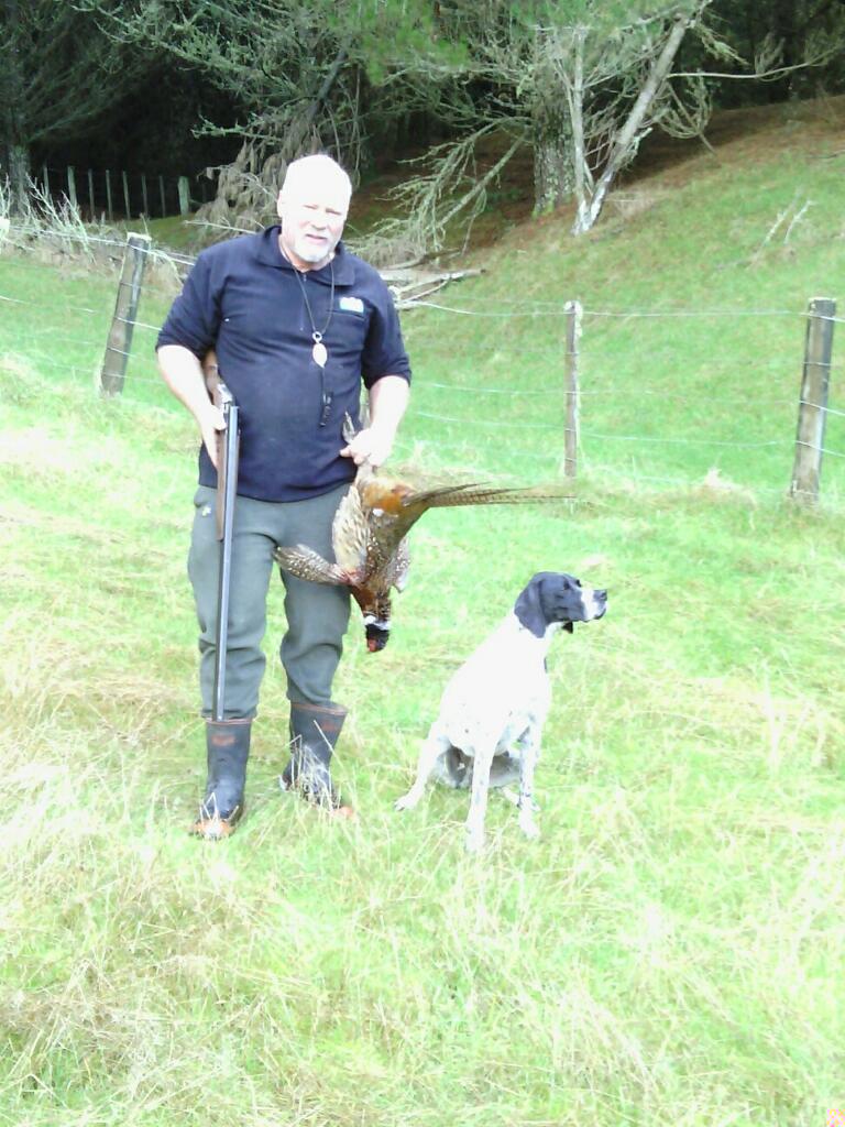 Name:  Fearns first 2014 Rooster.jpg
Views: 205
Size:  128.1 KB