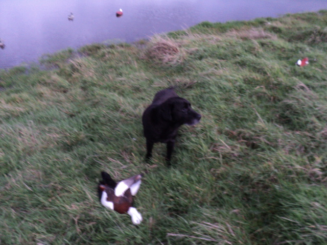 Name:  picture 3826.jpg
Views: 379
Size:  165.0 KB